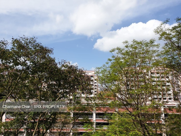 Blk 617 Choa Chu Kang North 7 (Choa Chu Kang), HDB 4 Rooms #192957702